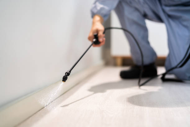 Certified termite inspector examining foundation in La Salle